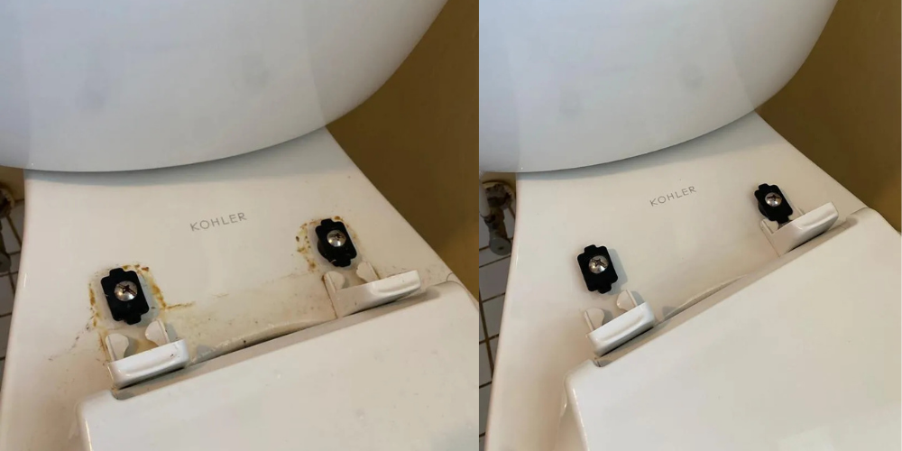 Gallery - Imagens (2)