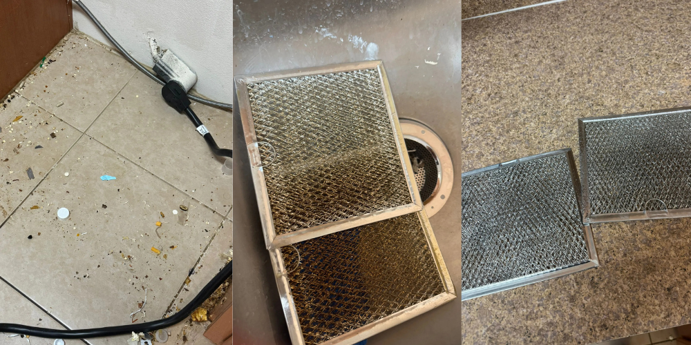 Gallery - Imagens (8)